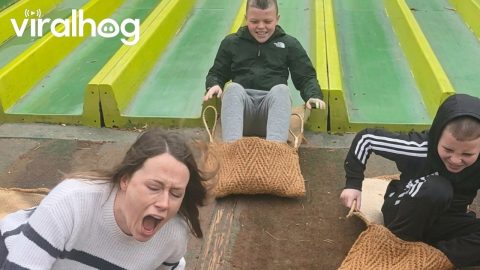 Catching Air on the Slide || ViralHog