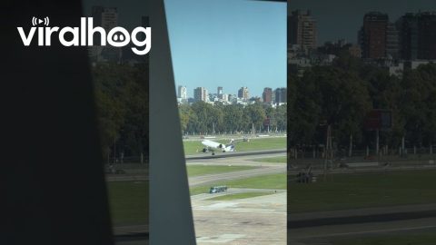 Flight Lands and Takes Off Again || ViralHog