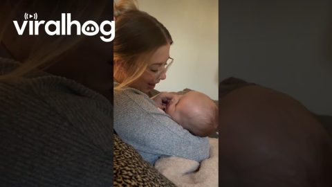 Woman Screams at Baby's Loving First Words || ViralHog