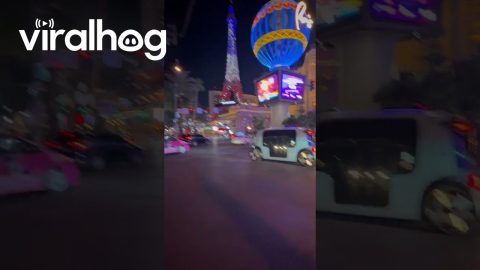 Driverless Drama in Las Vegas || ViralHog