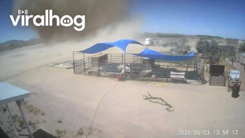 Dust Devil Sweeps Through Homestead Farm || ViralHog
