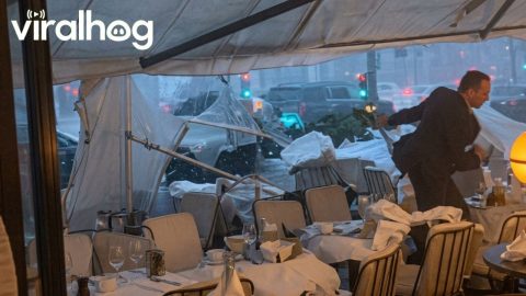 Powerful Storm Rocks Restaurant in Paris || ViralHog