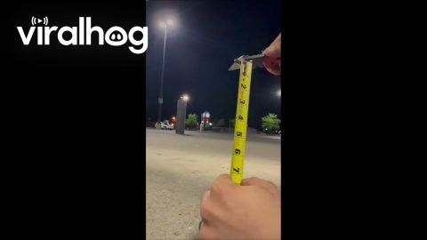 Tape Measure Tips and Tricks || ViralHog