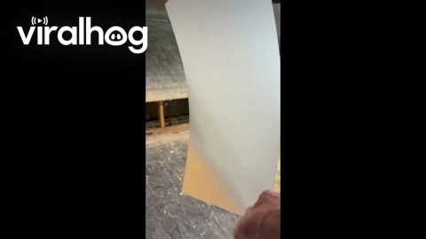 Satisfying Sounds From Shaken Sheet Metal || ViralHog
