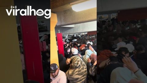 Chaos as Police Pepper Spray Unruly Watch Crowd at Long Island Mall || ViralHog