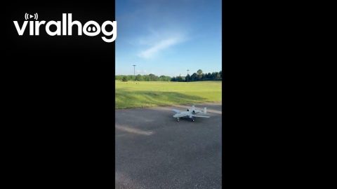 Giant Scale RC Jet Crashes Into Telephone Pole || ViralHog