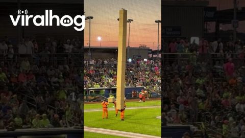 Box Stackers Send Cow to the Moooooon || ViralHog