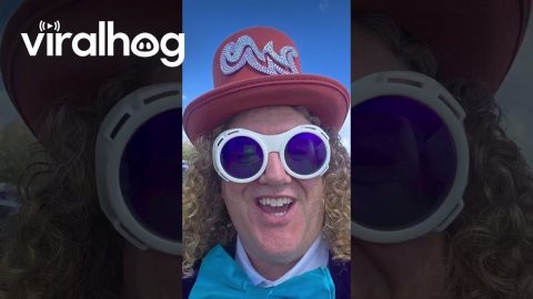Willy Wonka Impersonator Witnesses a Seaplane Crash || ViralHog