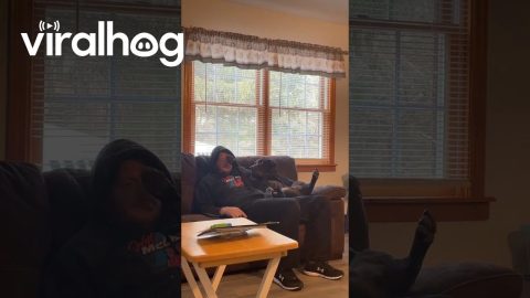 Dog Trying to Get Dad's Attention || ViralHog