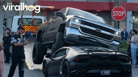 Lamborghini Crushed Under a Lifted Truck || ViralHog
