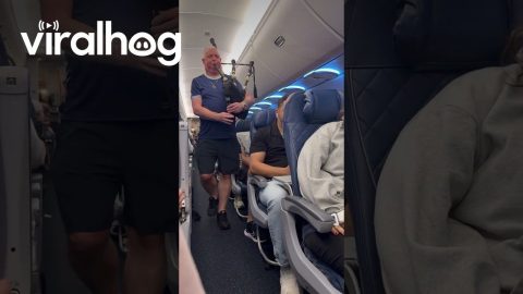 Boston Flight Bagpipes || ViralHog