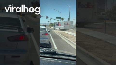Mail Driver Drives On Sidewalk Dirt || ViralHog