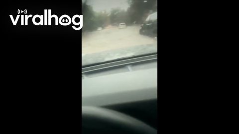 Driving Through a Flash Flood in Dallas, Texas || ViralHog