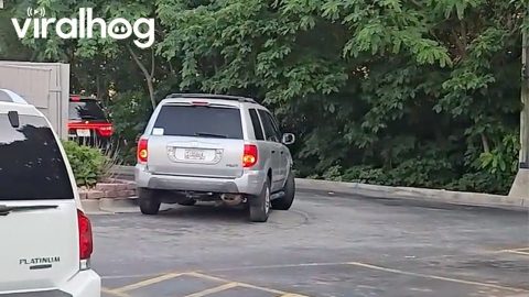 Lady Runs Into Foliage And Loses Muffler In Pursuit Of Sweet Treat || ViralHog
