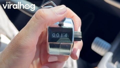 Mom Tracks How Many Times Kids Call For Her || ViralHog