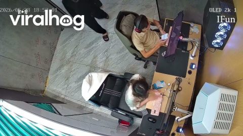 Gaming Girl Accidentally Turns Off Guy's Machine Twice || ViralHog