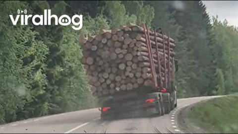 Timber Truck Lets Logs Spill Onto Road || ViralHog