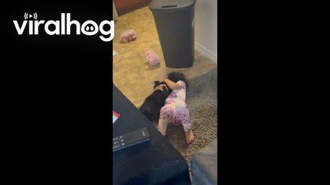 Black Cat Tolerates Girl's Love || ViralHog