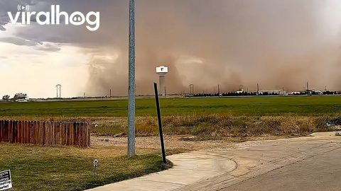 Mile Wide Dust Storm in Lubbock || ViralHog