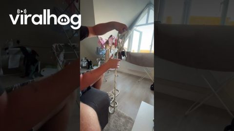 Fiancé Shows Off Flying Bowline Knot Skill || ViralHog