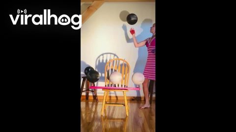 Ilze Luneau Spinning 5 Basketballs || ViralHog