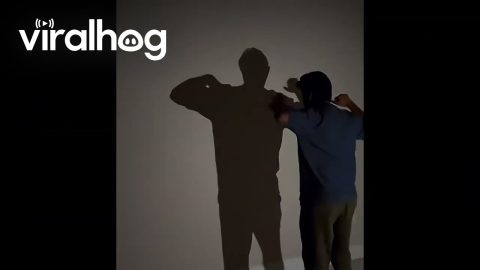 Father Daughter Dancing Shadow || ViralHog