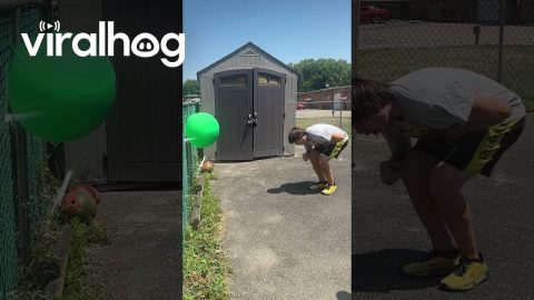 Instant Regret with an Axe || ViralHog