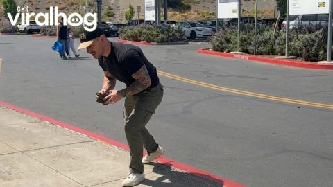Man Jumps Over a Sign and Loses His Wallet || ViralHog
