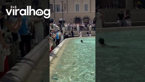 Tourist Swims Through Trevi Fountain || ViralHog