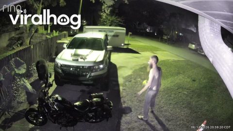 Bear Catches Man Off-Guard in His Driveway || ViralHog