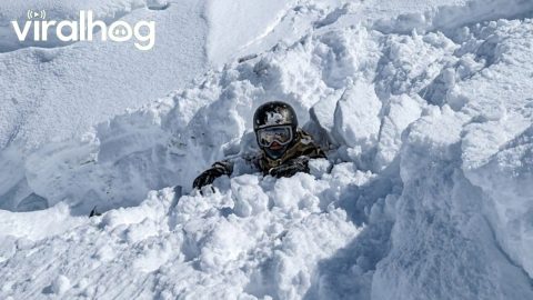Skier Loses Both Skis During Double Backflip Attempt || ViralHog