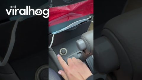 Old Car's Lighter Still Gets Hot || ViralHog