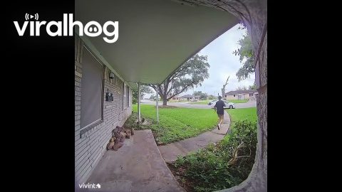 Instant Karma for Careless Delivery || ViralHog