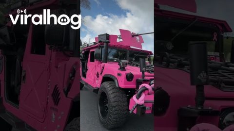 Pretty Pink Combat Humvee || ViralHog