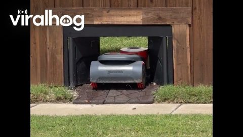 Robot Lawn Mowers Have Their Own Door || ViralHog