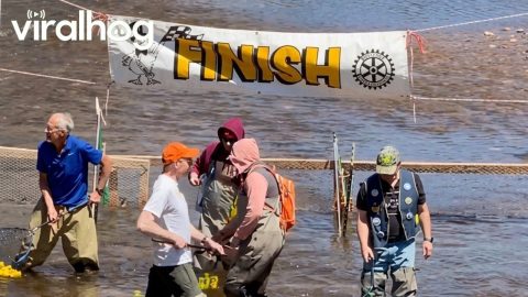 5000 Rubber Ducks Race for $10,000 Prize || ViralHog
