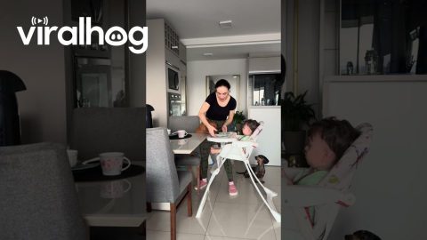 Dachshund Digs Into Baby's Breakfast || ViralHog