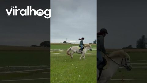Horse Bucks Rider Off Then Twirls In Circles || ViralHog