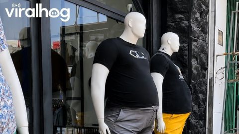 Big Man Store In Vietnam || ViralHog