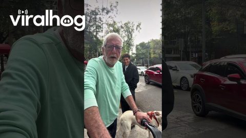 Outfit Check Interrupted By Polite Commuter || ViralHog