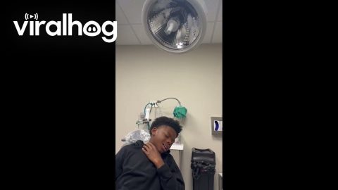The Power of Anesthesia || ViralHog