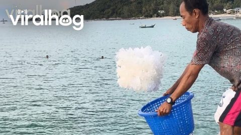 Fisherman Casually Fills Ice By Tossing Buckets || ViralHog