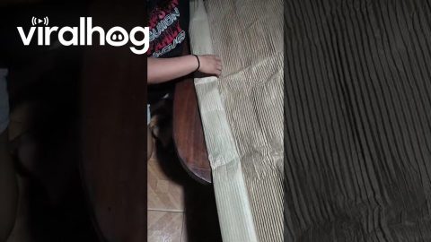Excessive Packaging for a Small Purchase || ViralHog