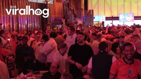 England fans in Manchester celebrate Rashford goal || ViralHog