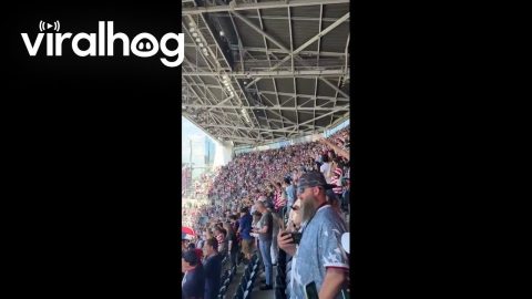Fans Sing Popular Song in Seattle After USA's Win Over Australia || ViralHog