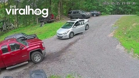 Delivery Driver Forgets to Put Car in Park || ViralHog