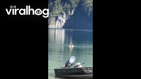 To Fish, You Must First Be a Fish || ViralHog
