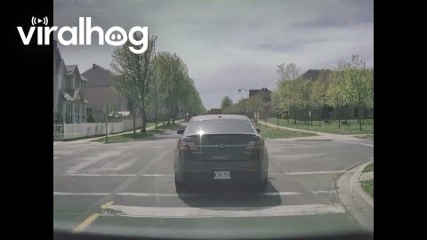 Entitled Driver Passes Stopped School Bus || ViralHog
