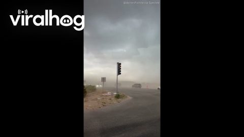 Dust Storms and Strong Wind Gusts Sweep New Mexico || ViralHog