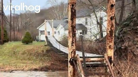 Creek Crossing is Above My Paygrade || ViralHog